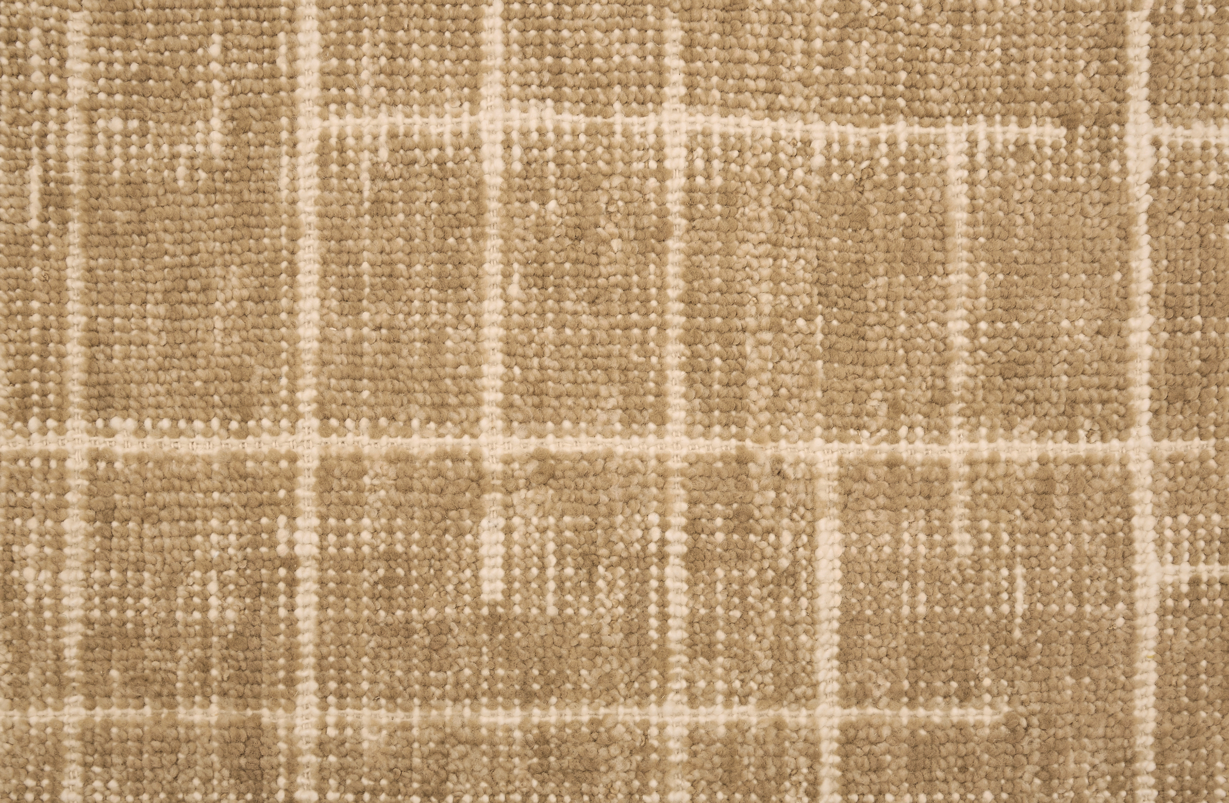 Nolira Maple